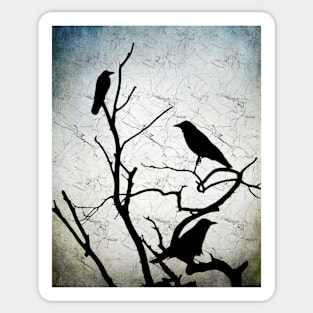 Crow Birds on Tree Bird 91 Sticker